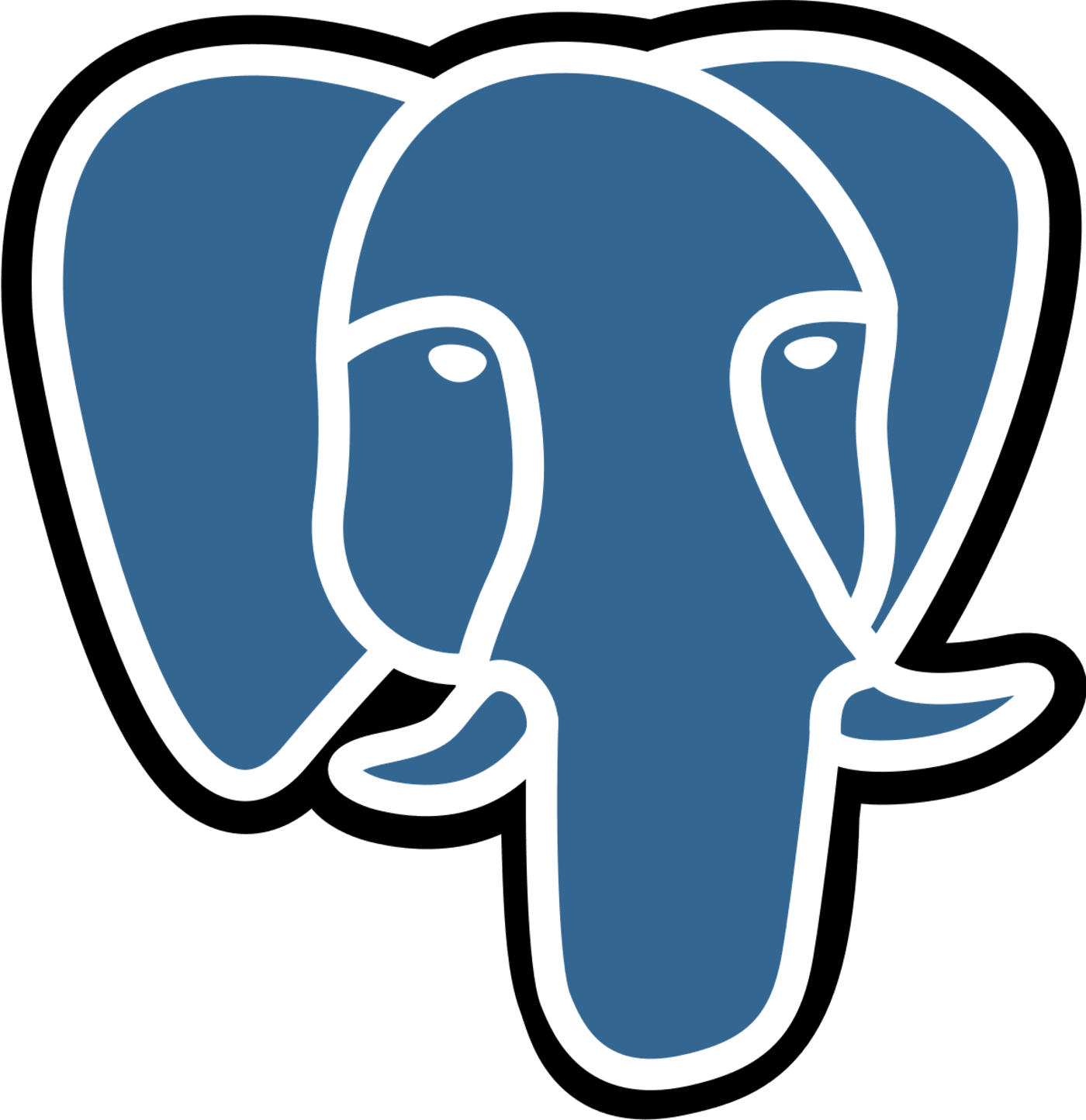 PostgreSQL Databasing